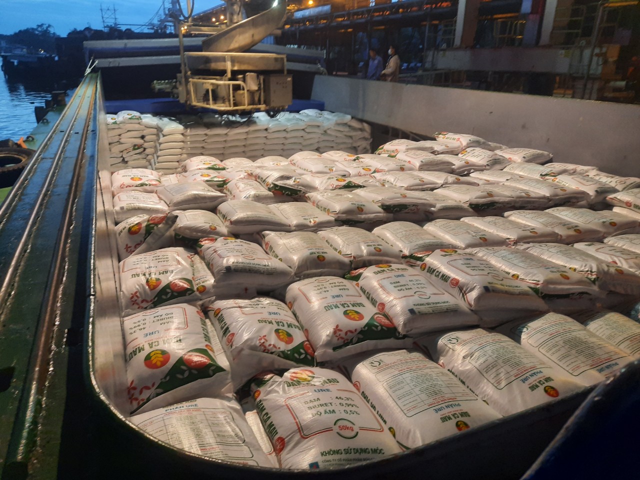 Dịch vụ Logistics